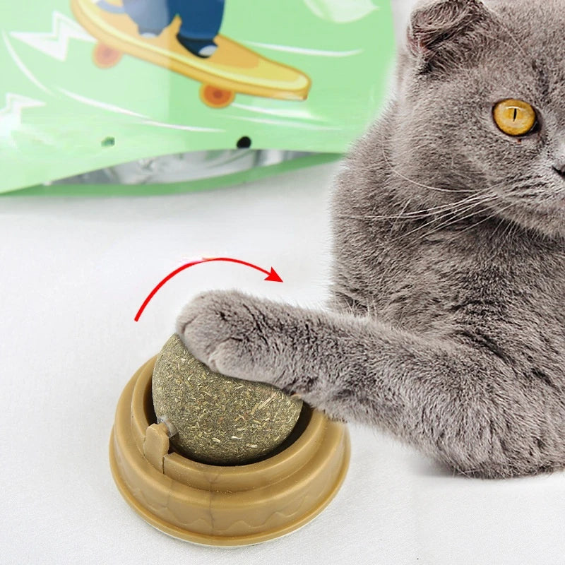 5 Pcs Natural Ball Removal Cats Catnip Cat Toy Cat Grass Treats to Improve Digestion Wall Sticker Scratch Itchy Treat Healthy Supplies
