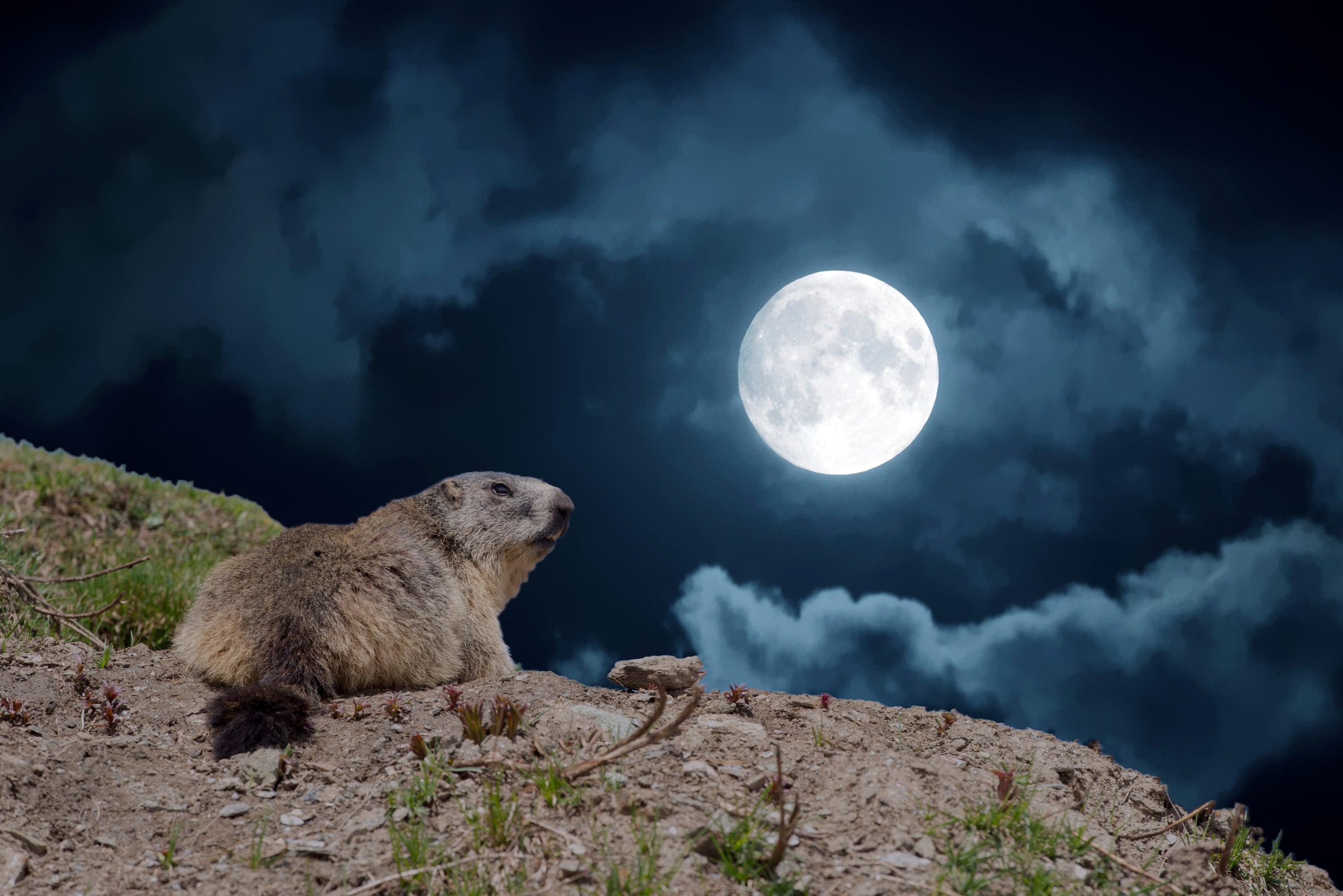 Beaver Mooth Beaver Moon: November 2024's Full Supermoon – North Light