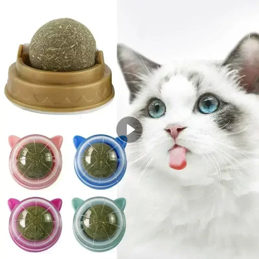 5 Pcs Natural Ball Removal Cats Catnip Cat Toy Cat Grass Treats to Improve Digestion Wall Sticker Scratch Itchy Treat Healthy Supplies